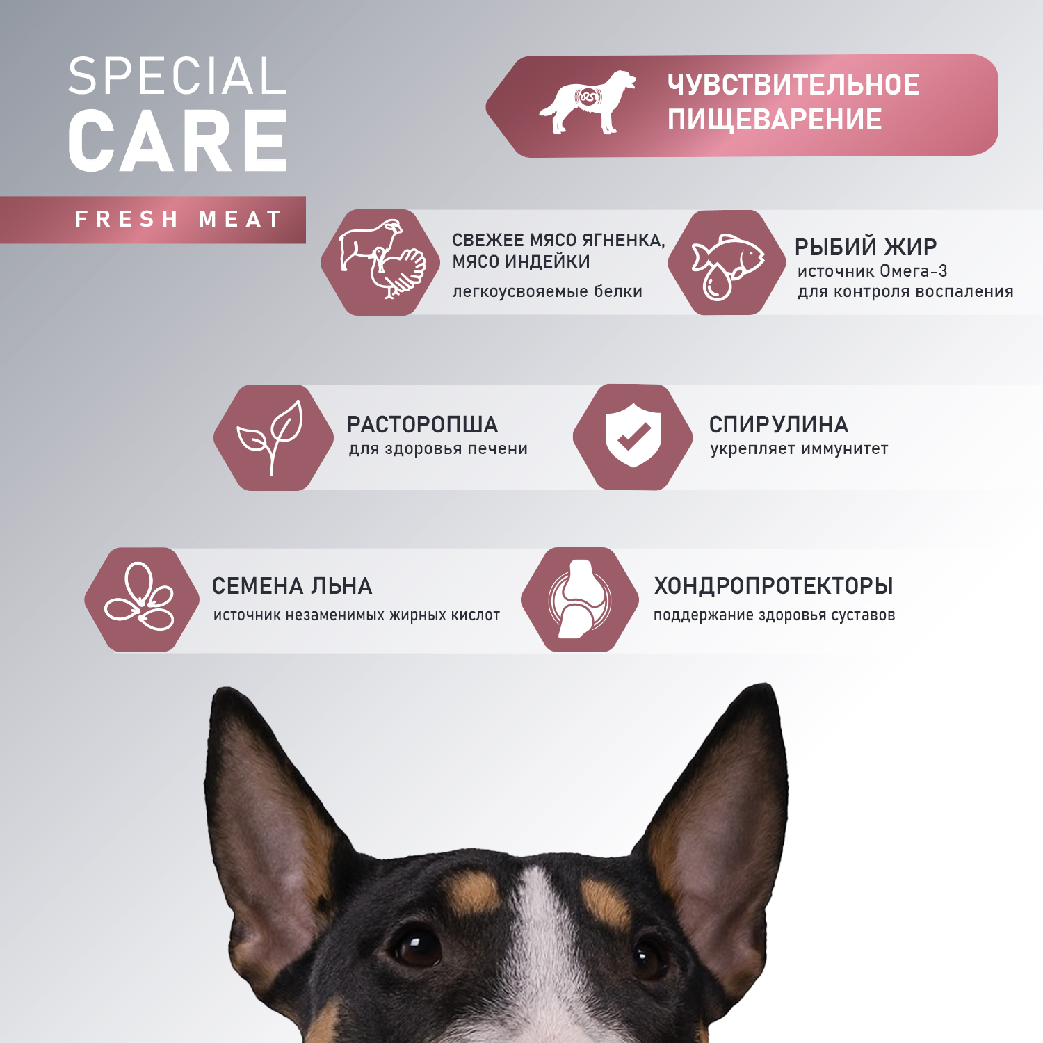 Корм для взрослых собак всех пород AWARD Sensitive Digestion с чувствительным пищеварением с мясом ягненка сухой 12кг - фото 4