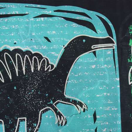 Пододеяльник Этель Dinoera