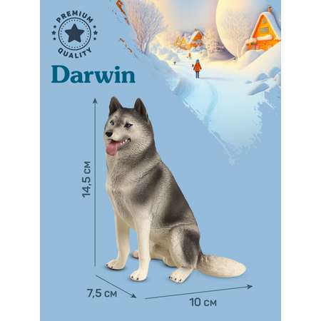 Фигурка DARWIN Собака Хаски