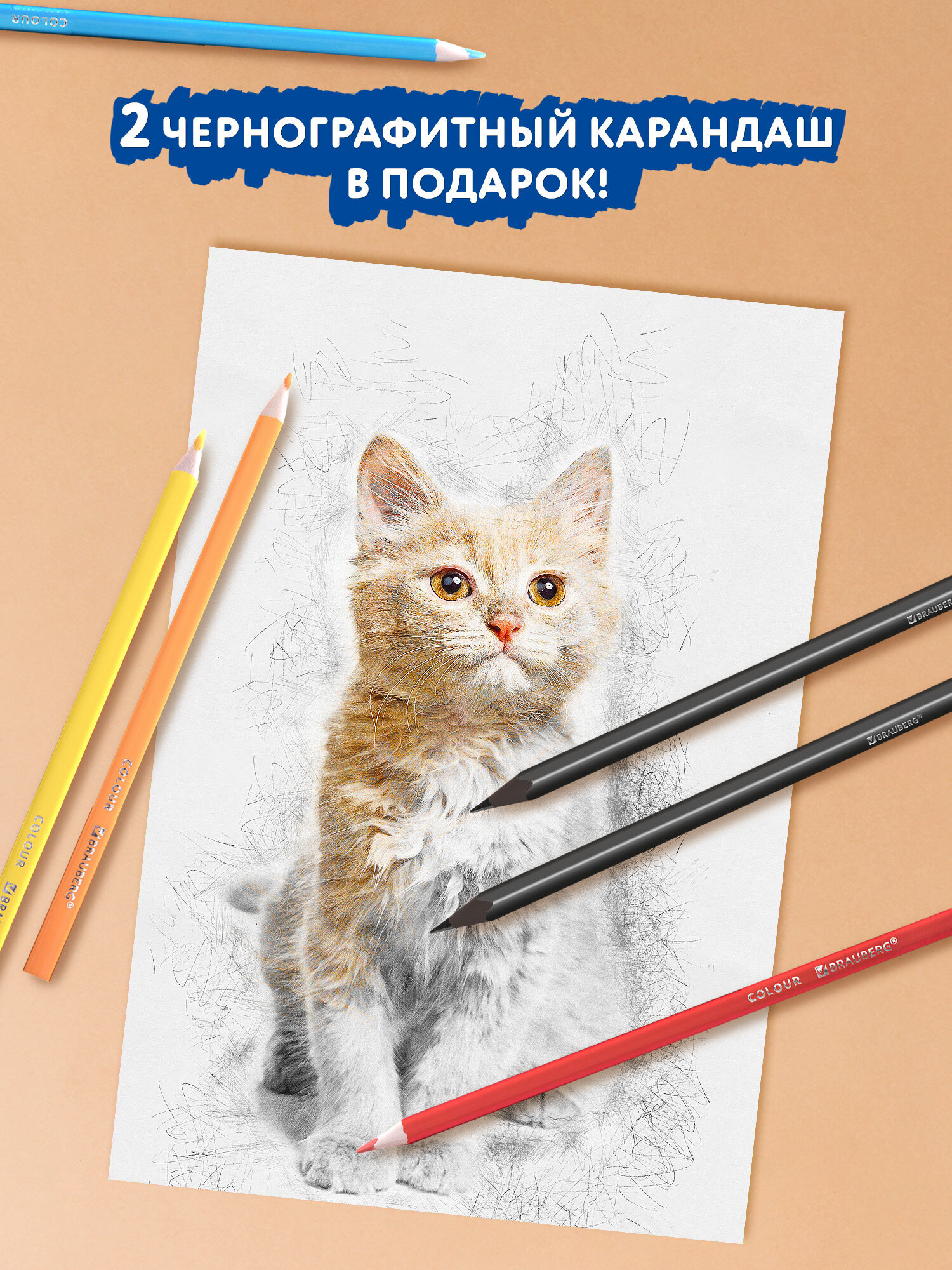 Карандаши цветные Brauberg 26 шт. - фото 6