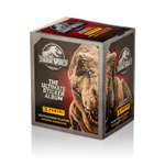 Набор для творчества Panini декорирование наклейками
