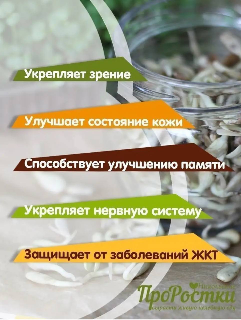 Семена для микрозелени Никольские ПроРостки подсолнечник - фото 4