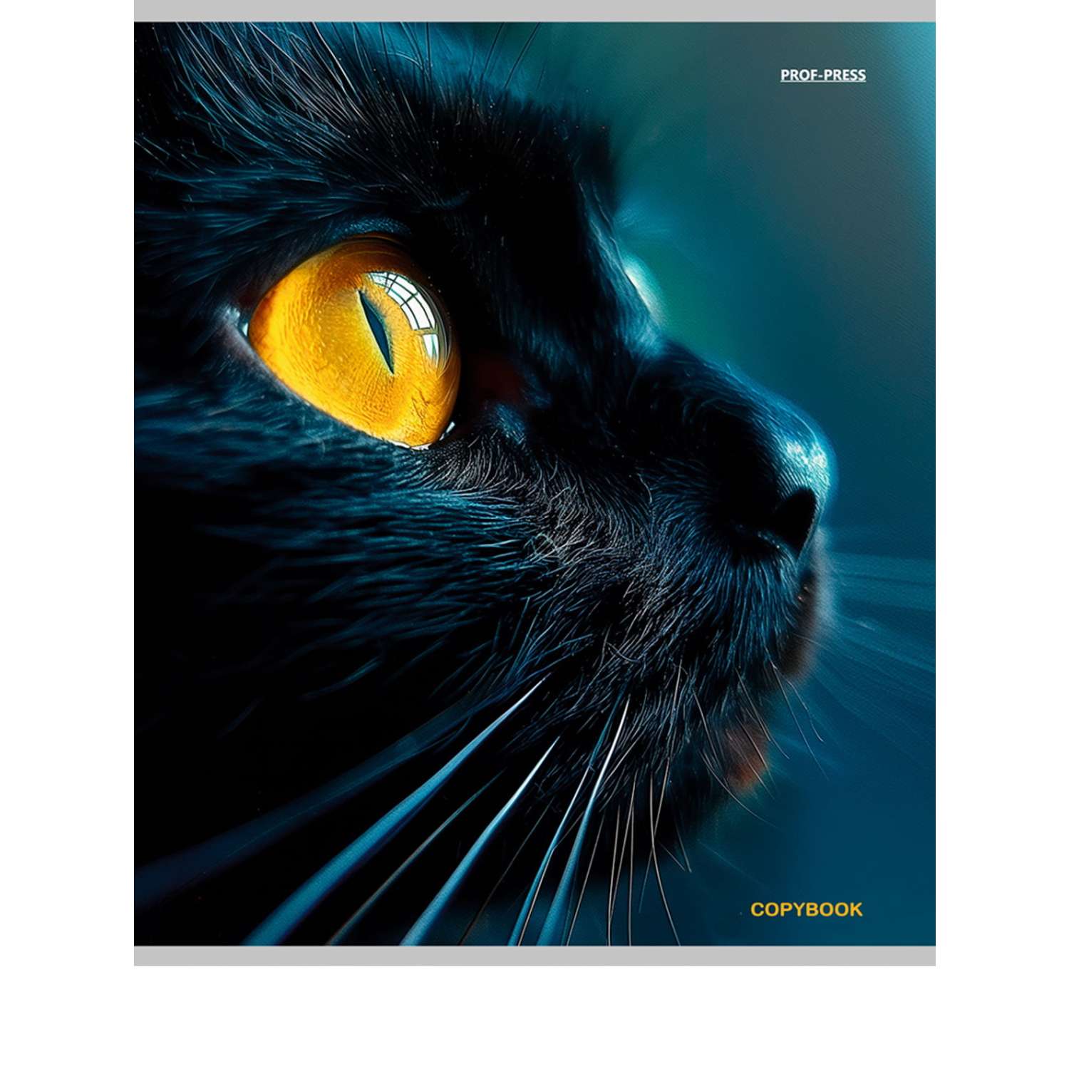 Тетрадь Prof-Press клетка 96 лист. в ассортименте - фото 9