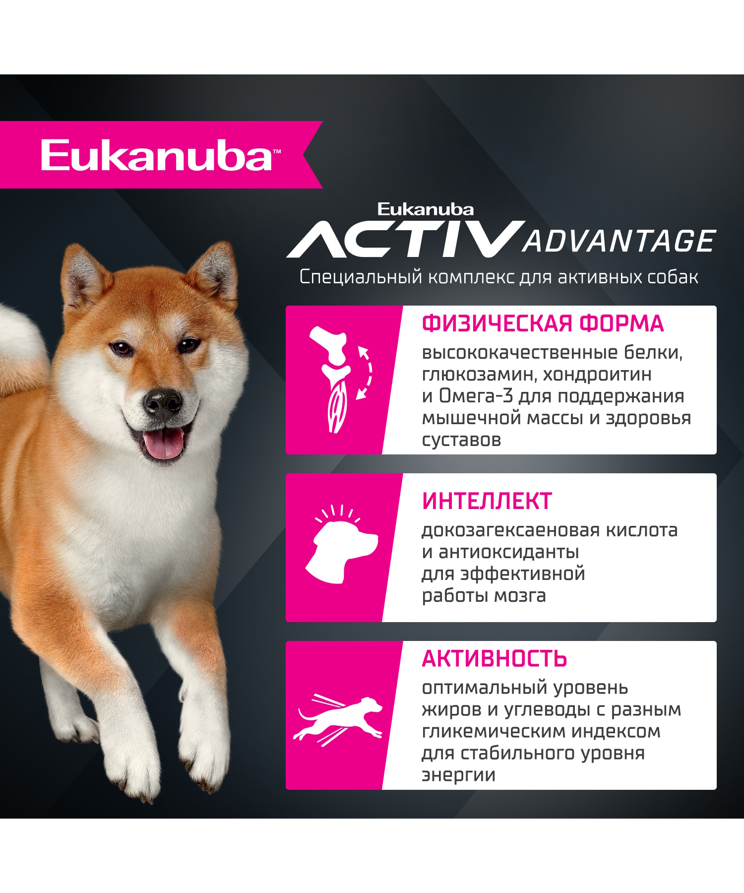 Корм для собак сухой для взрослых собак Eukanuba мелких и средних пород старше 1 года с ягненком 7кг - фото 2