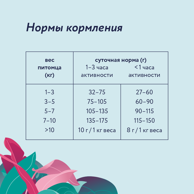 Корм для собак Florida 1кг малых пород ягненок-груша - фото 4