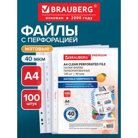 Файл Brauberg Матовые