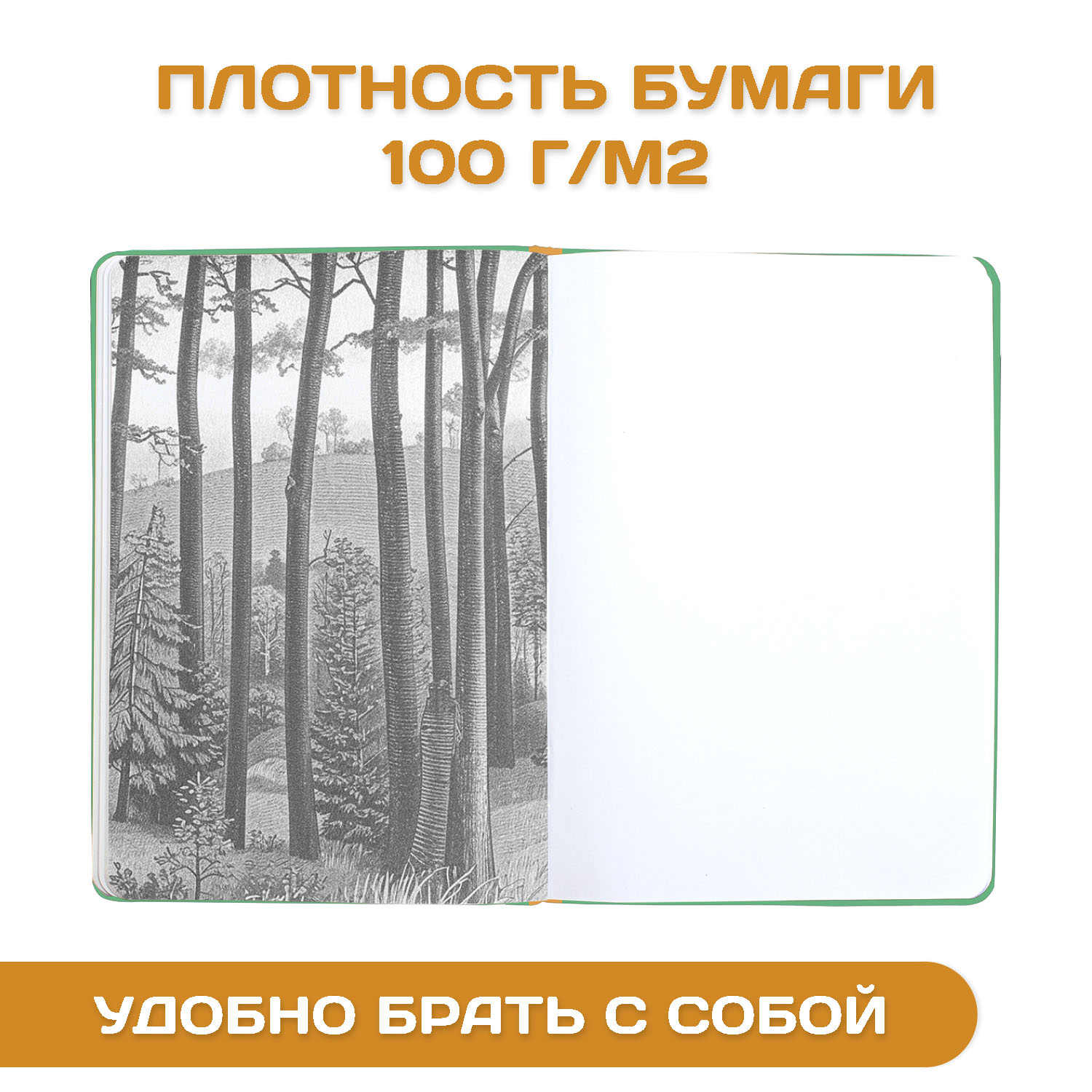 Блокнот Проф-Пресс Pocket скетчбук от MyArt 104х146 мм 48 листов. В наборе 2 шт Бегемот+Кот - фото 4