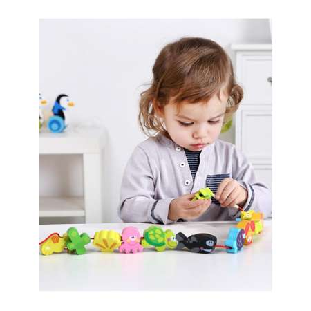Игрушка Tooky Toy шнуровка