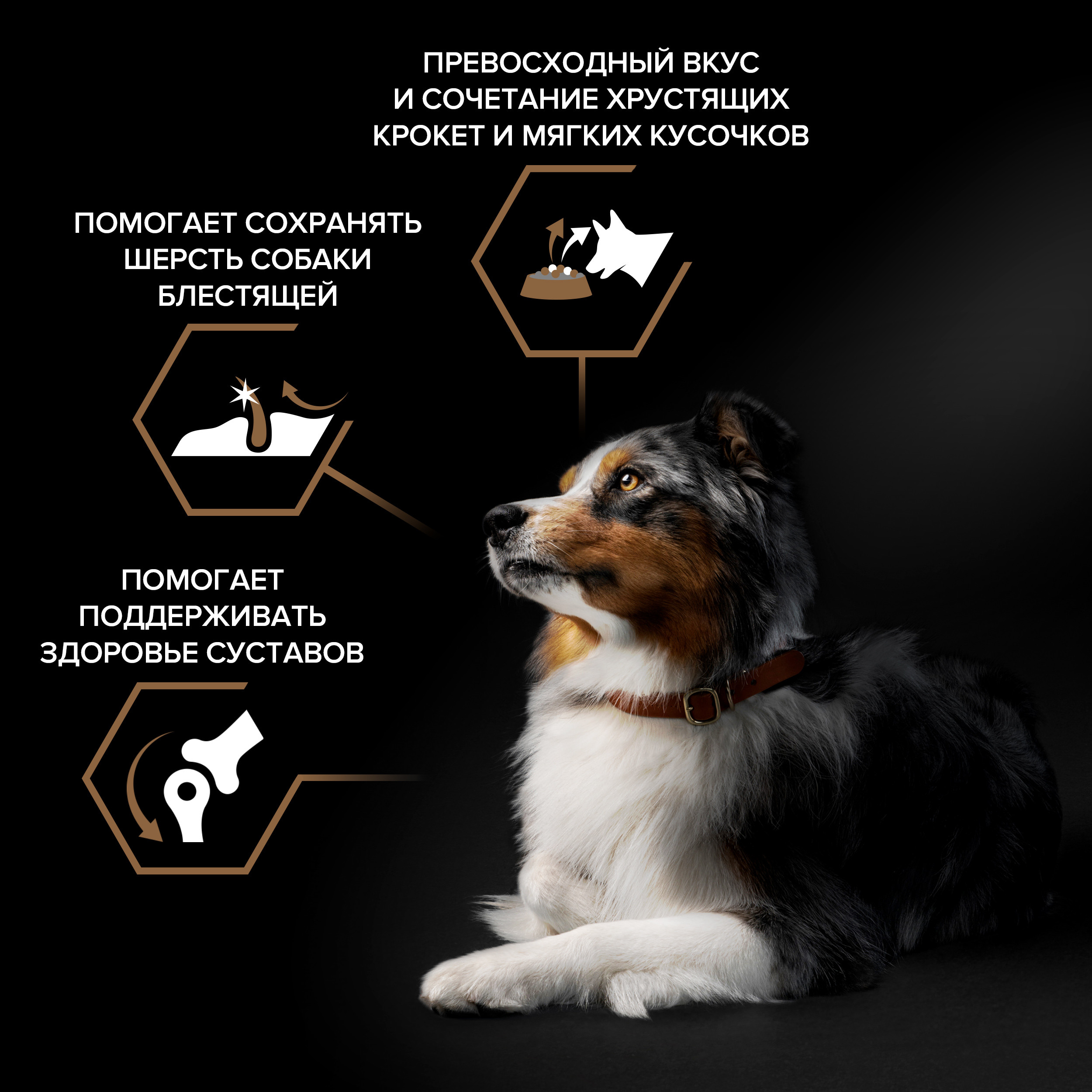 Корм сухой для собак PRO PLAN DUO DELICE 2.5 кг с говядиной для средних и крупных пород - фото 3