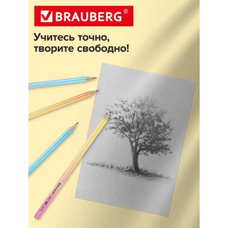 Карандаши чернографитные Brauberg 72 шт.