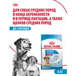 Корм для щенков беременных и кормящих Royal Canin 4кг Medium Starter средних сухой