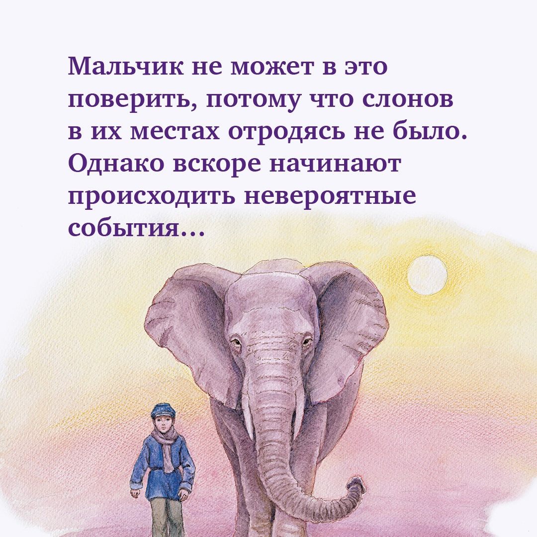 Книга Махаон Слониха фокусника - фото 8