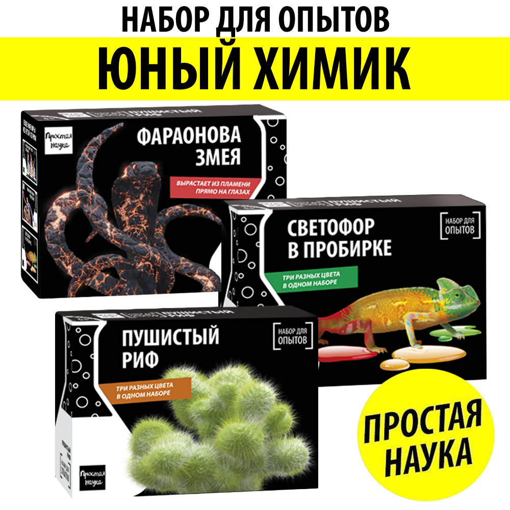 Набор для опытов Простая наука - фото 2