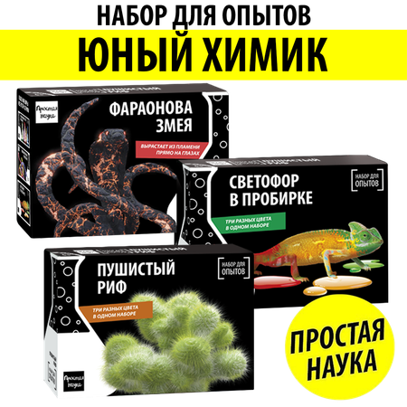 Набор для опытов Простая наука