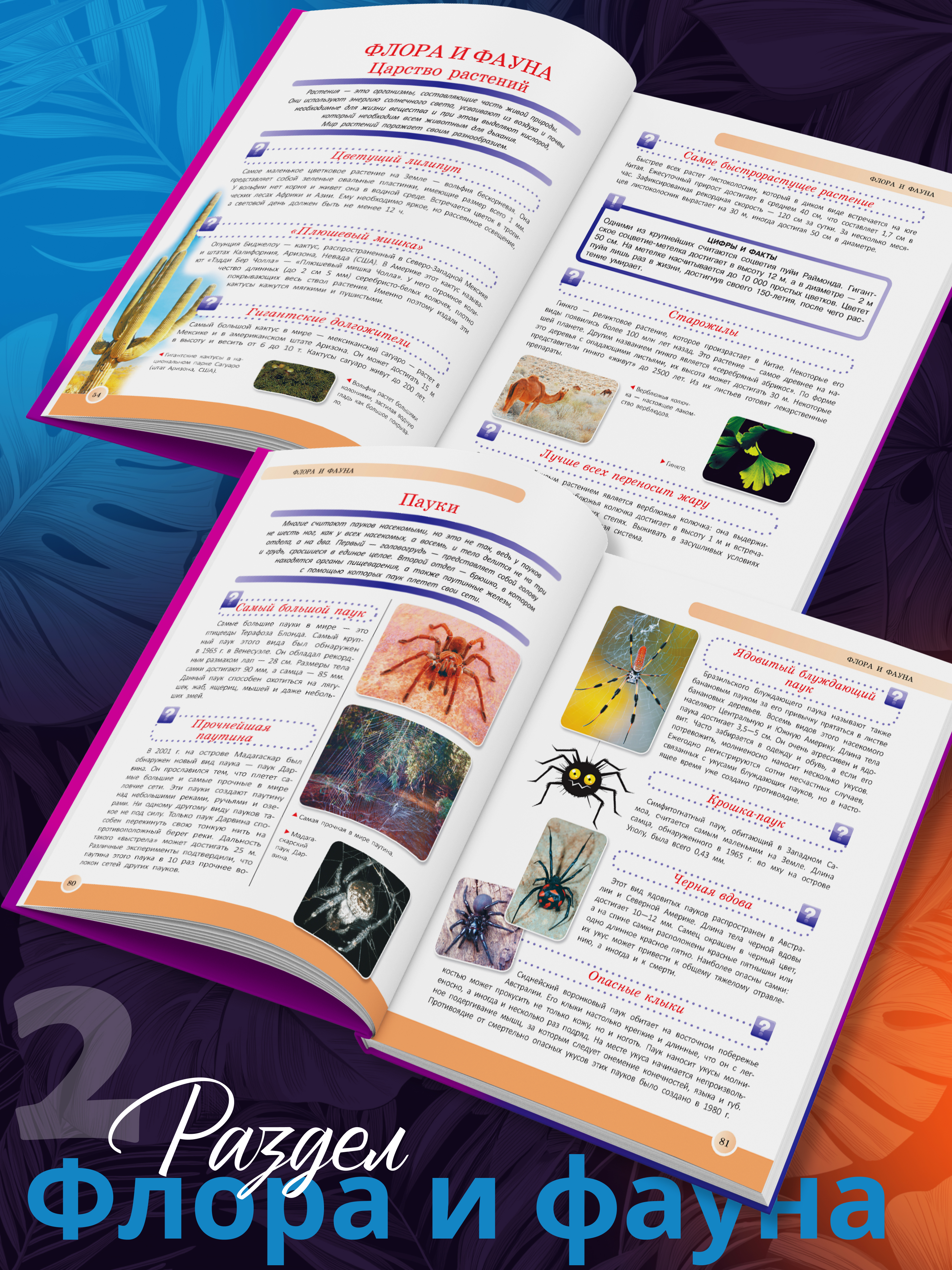 Книга для детей Харвест Новейшая энциклопедия школьника - фото 6