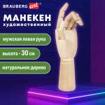 Манекен Brauberg