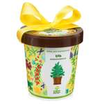 Набор для выращивания Happy Plant