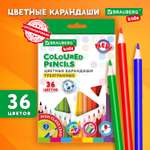 Карандаши цветные Brauberg 36 шт.