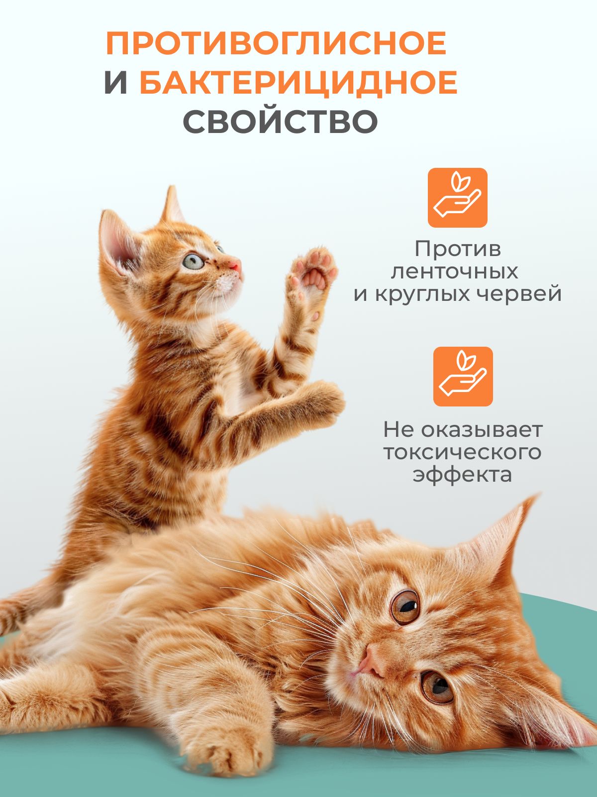 Капли от глистов для кошек и котят GOODR Cat антигельминтное 50мл - фото 2