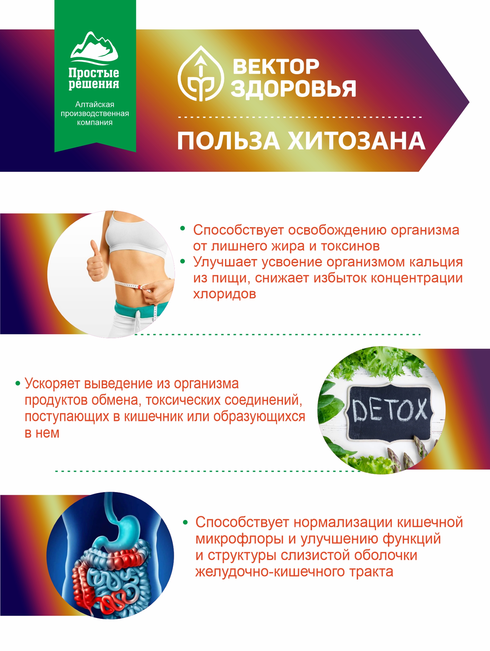 Комплекс Алтайские традиции Хитозан и семя льна 60 капсул - фото 3