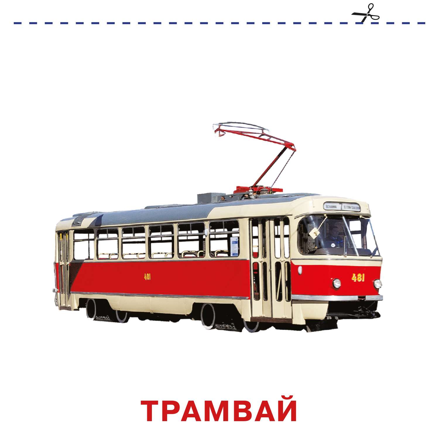 Книга карточки для малышей Транспорт - фото 5