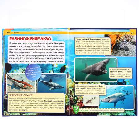 Энциклопедия Умка Акулы 258012