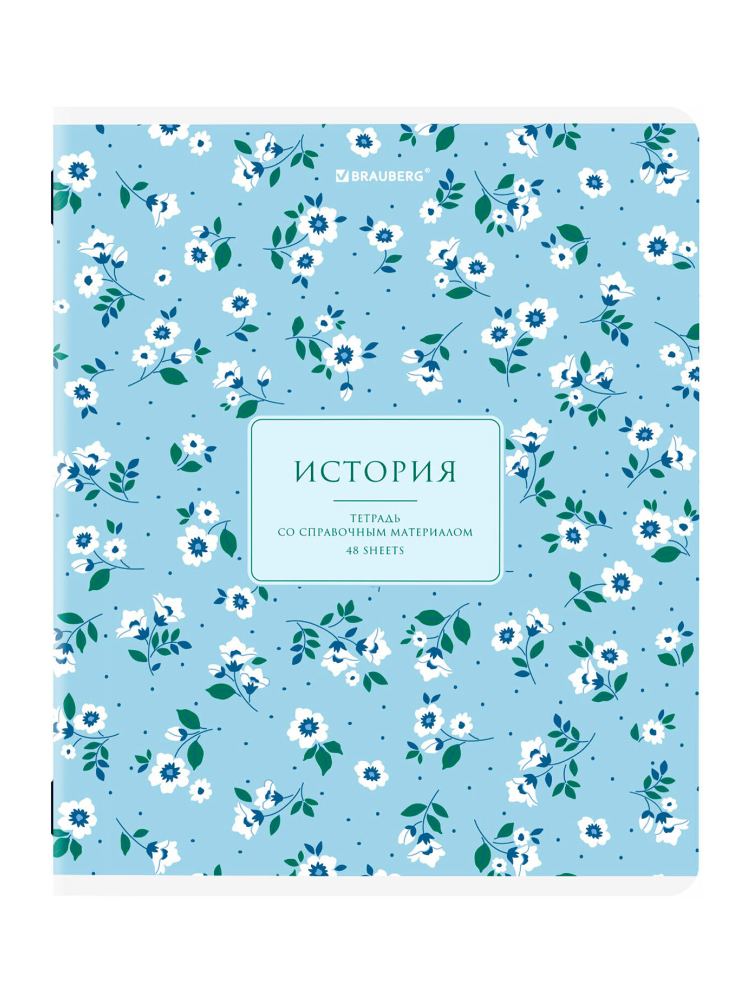 Тетрадь Brauberg 48 лист. 12 шт. - фото 17