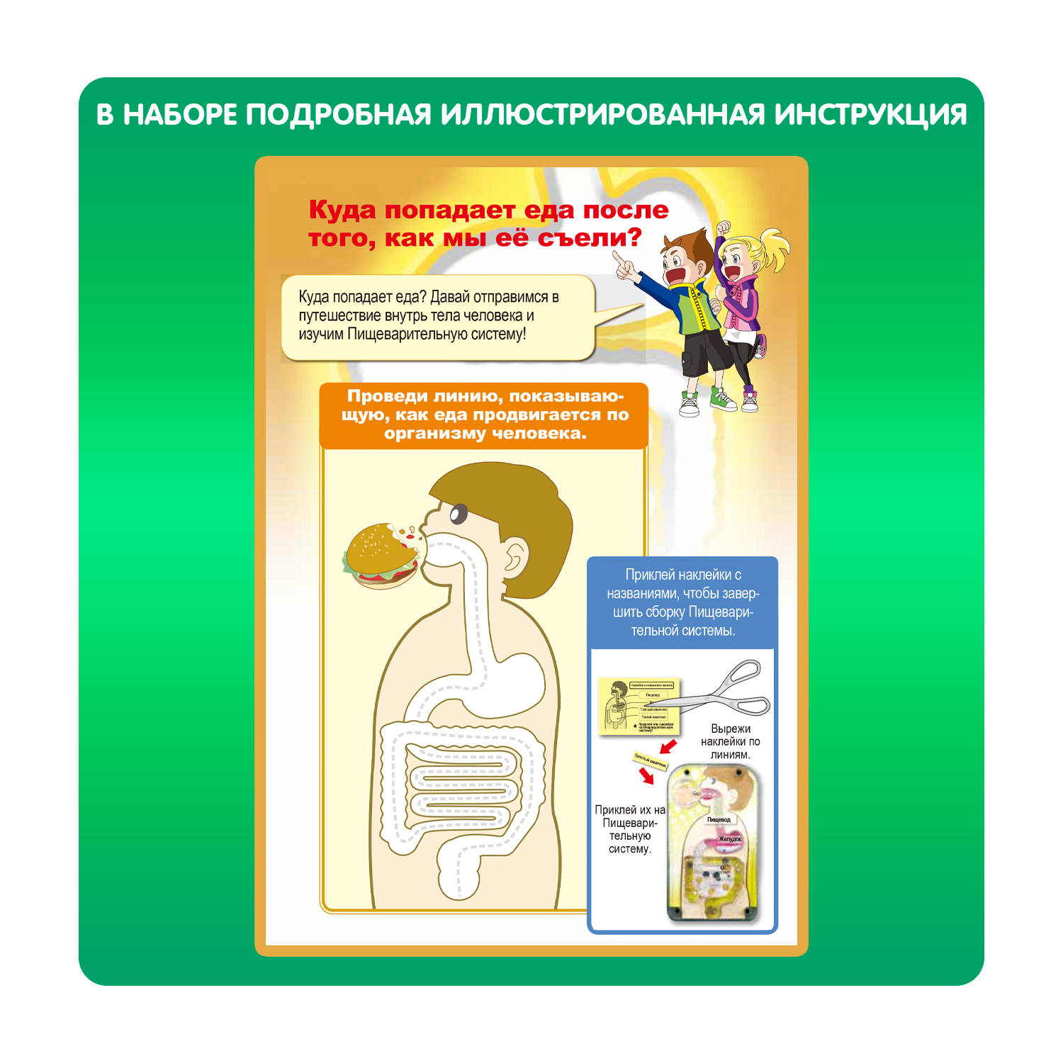 Наглядное пособие Bondibon - фото 6