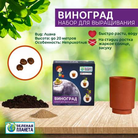 Набор для выращивания ЗЕЛЕНАЯ ПЛАНЕТА