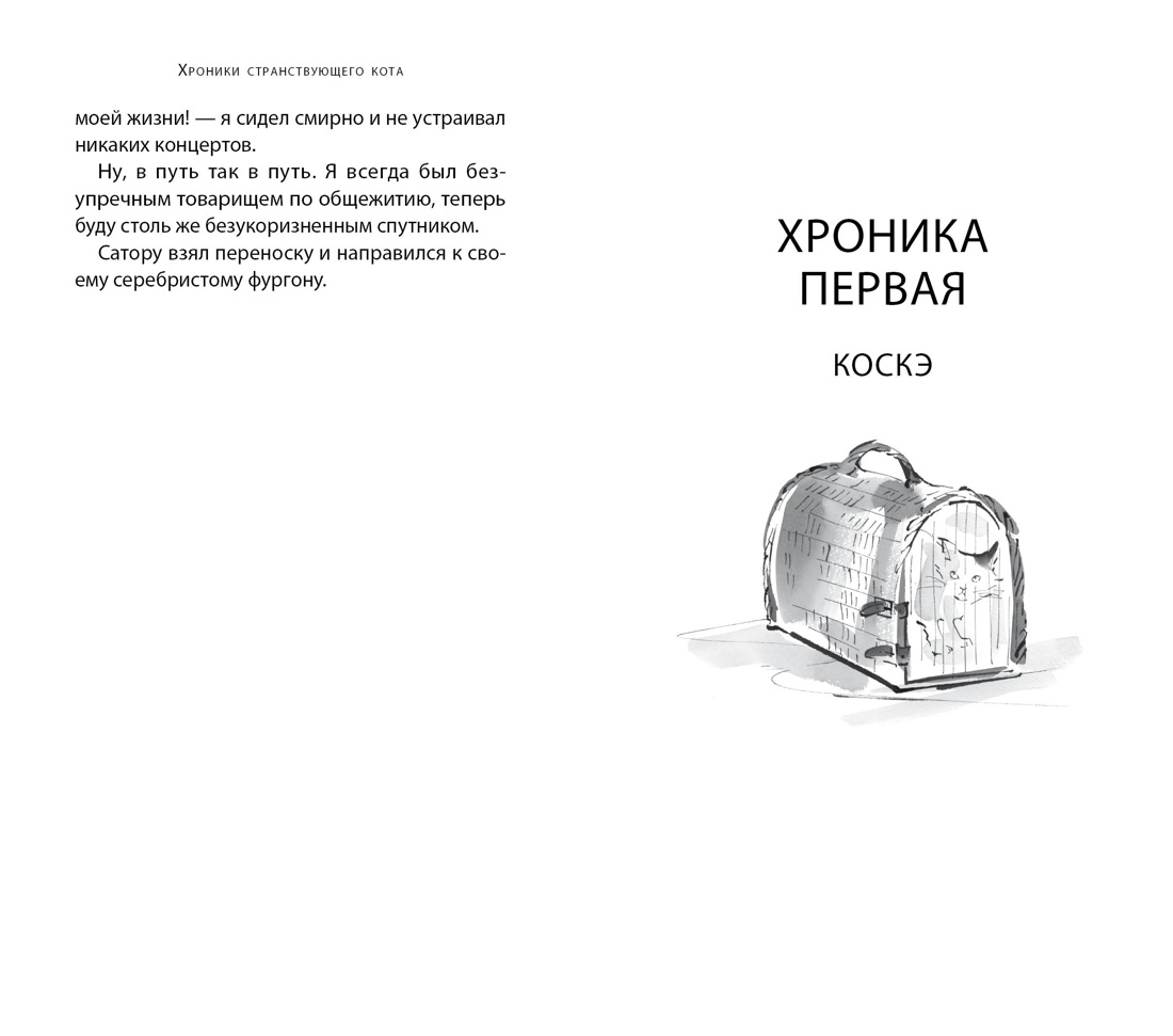Книга АЗБУКА Хроники странствующего кота. - фото 12