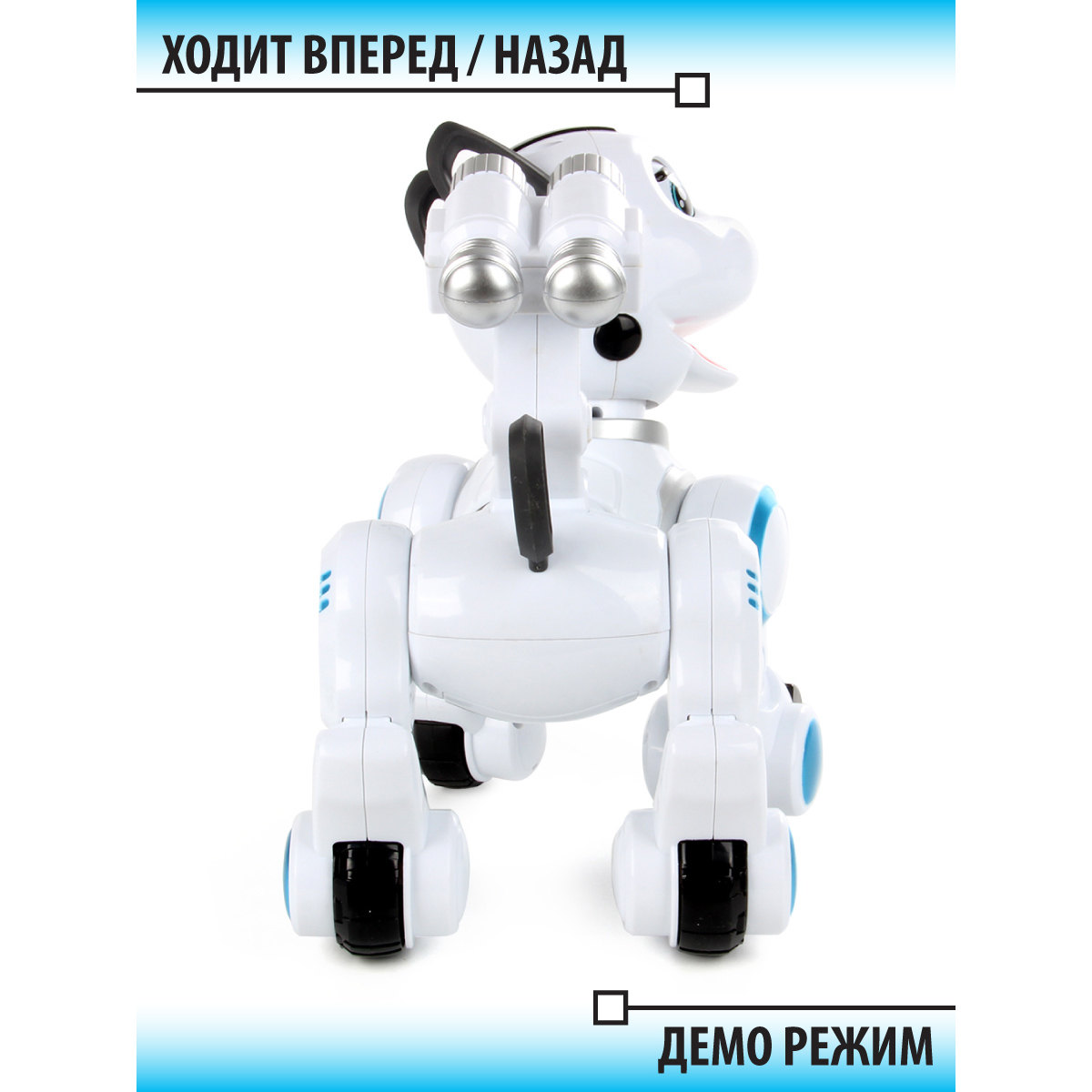 Собака РУ Veld Co - фото 2