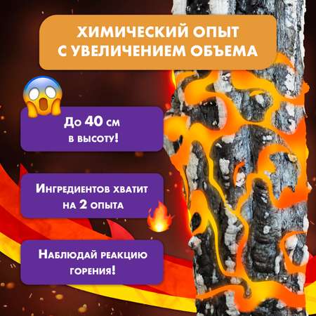 Набор для опытов WOW! HOW? Углеродный дракон