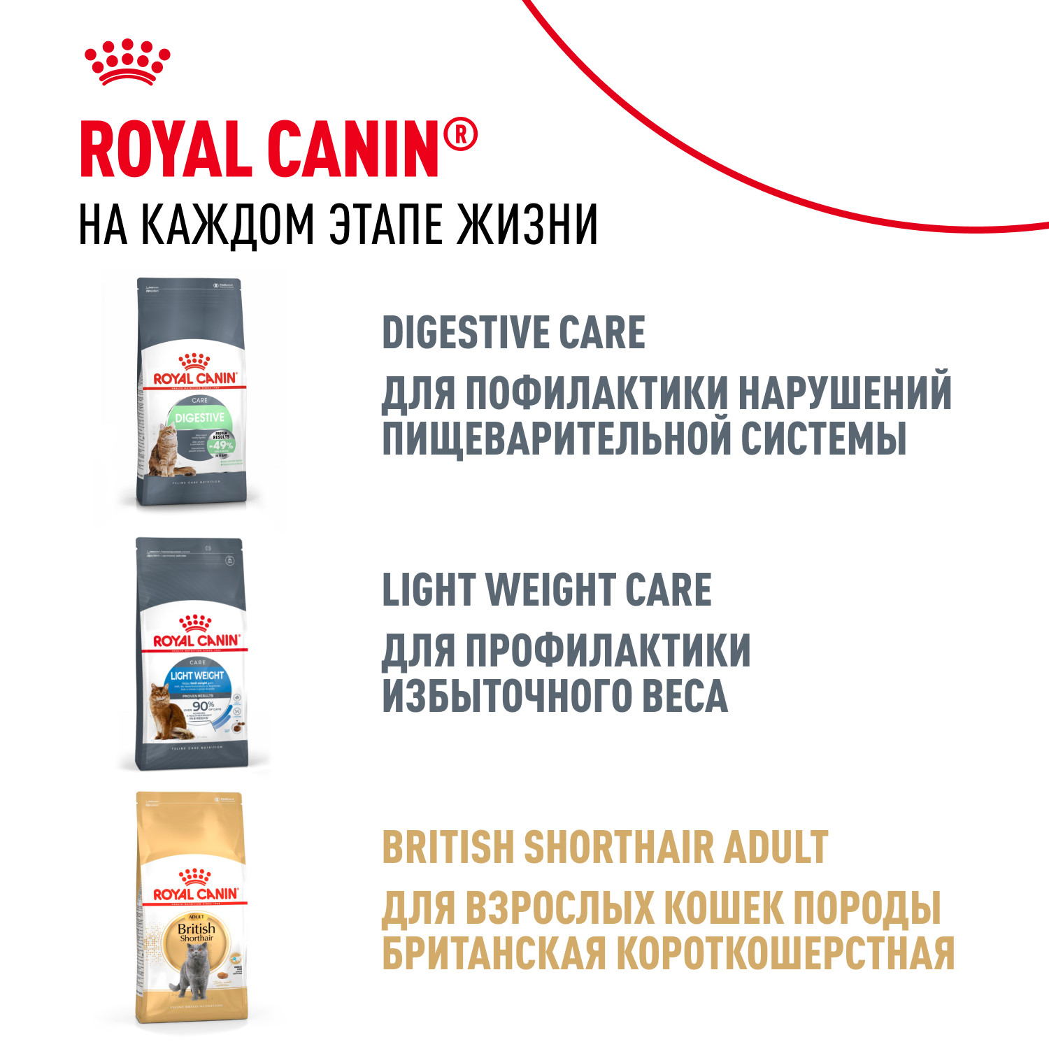 Корм сухой для котят ROYAL CANIN British Shorthair 10кг породы британской короткошерстной - фото 10