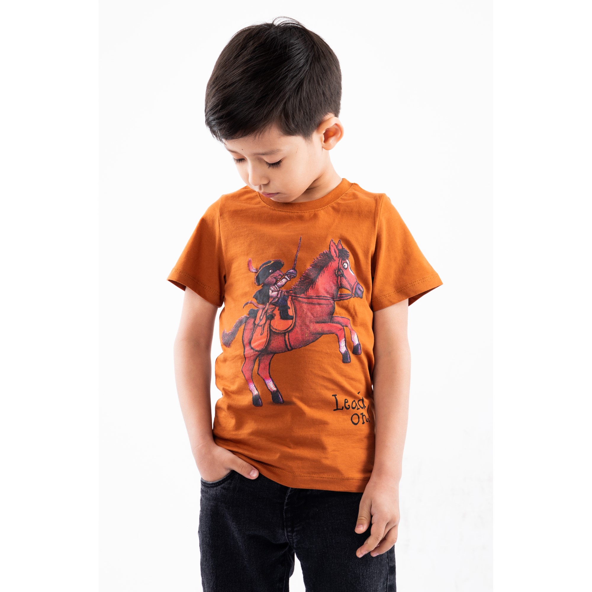 Футболка LELO kids LELO-456 koricneviy - фото 1