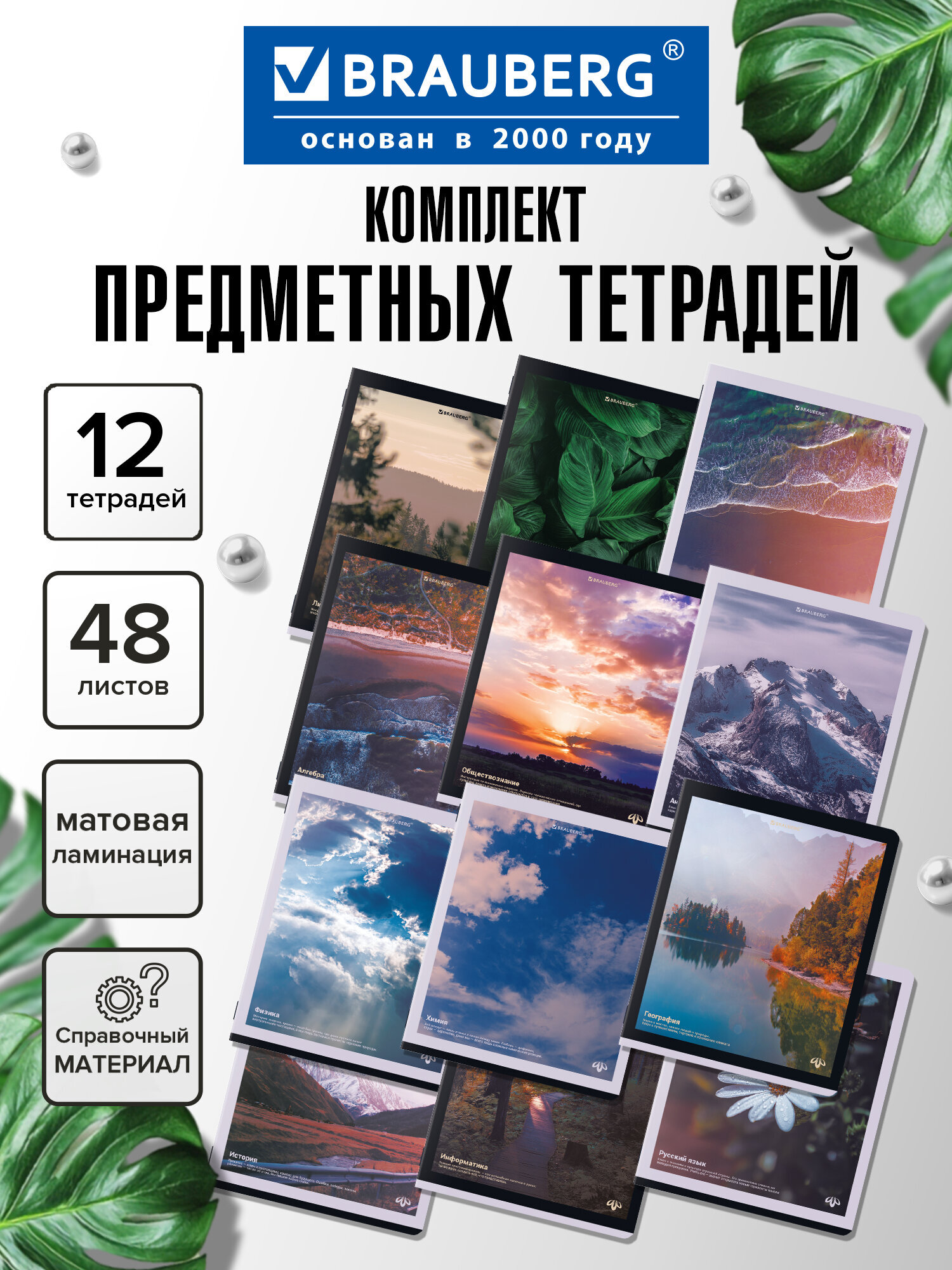 Тетрадь Brauberg 48 лист. 12 шт. - фото 1