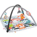 Коврик Fisher Price с дугами Светись и расти