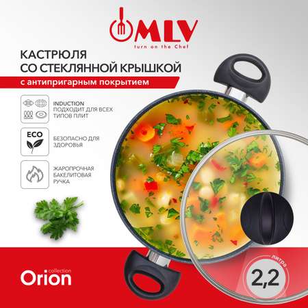 Кастрюля для индукционных плит с крышкой Moulin Villa Оrion 2,2 литра