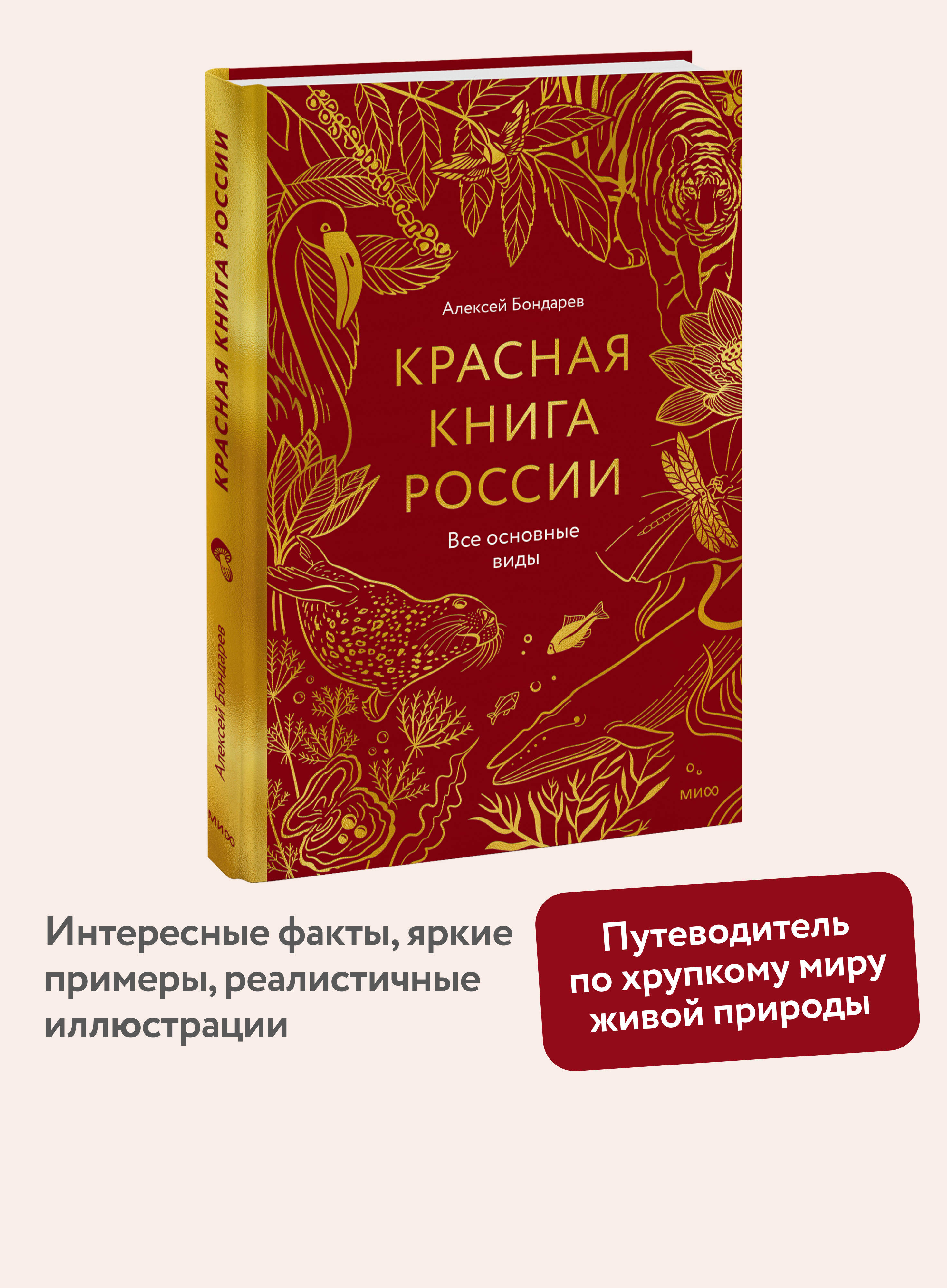 Книга Миф Красная книга России Все основные виды - фото 2