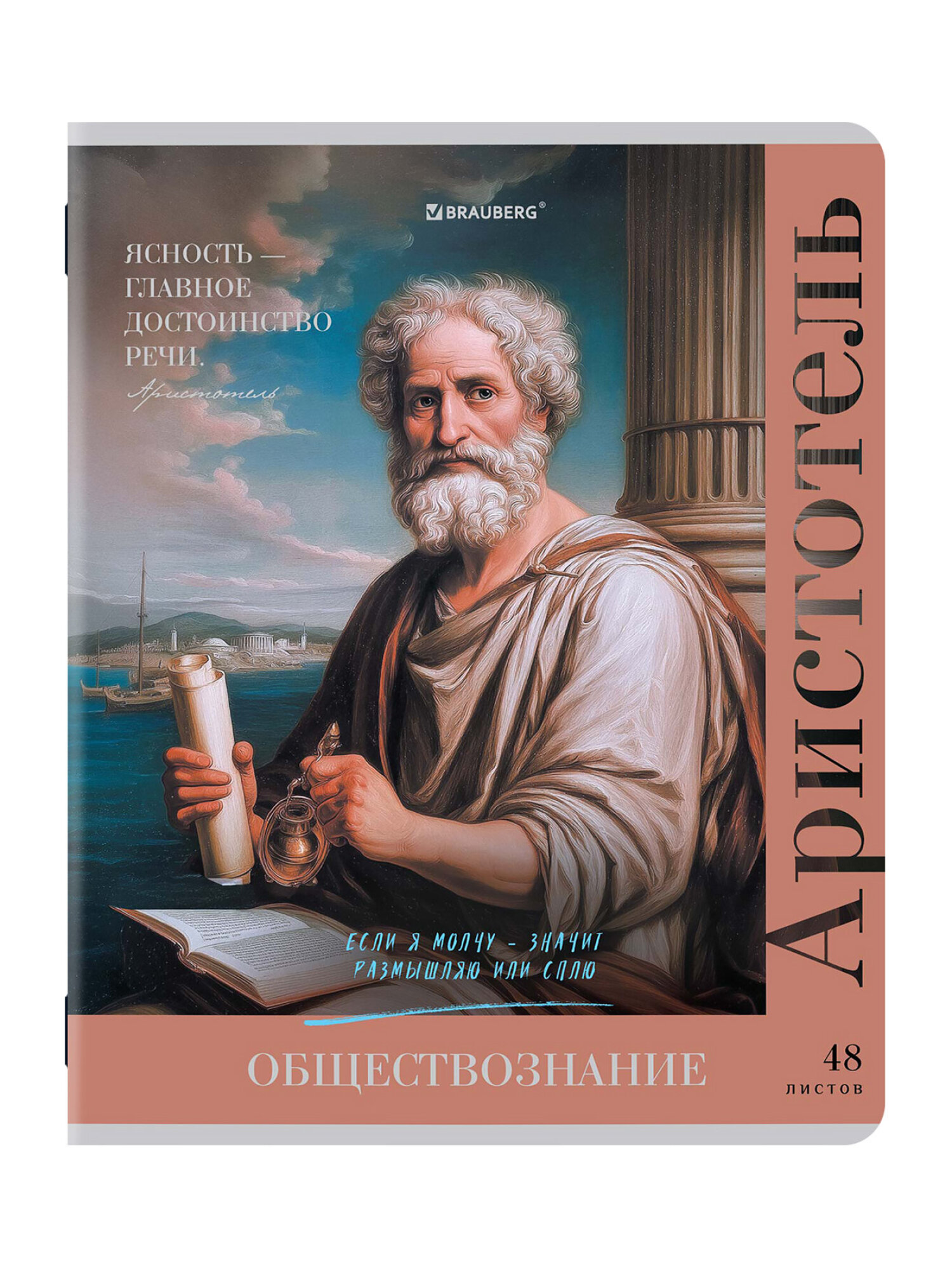 Тетрадь Brauberg 48 лист. 12 шт. - фото 15