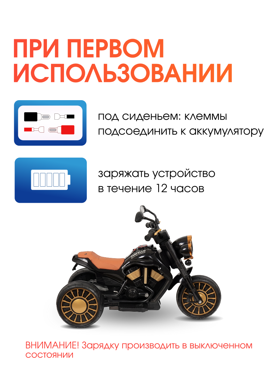 Электромотоцикл Farfello TR703 - фото 6