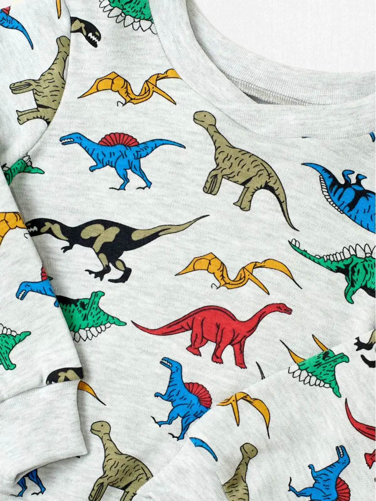 Свитшот Касаточка СШ-11и серый с рисунком Динозавры - фото 3