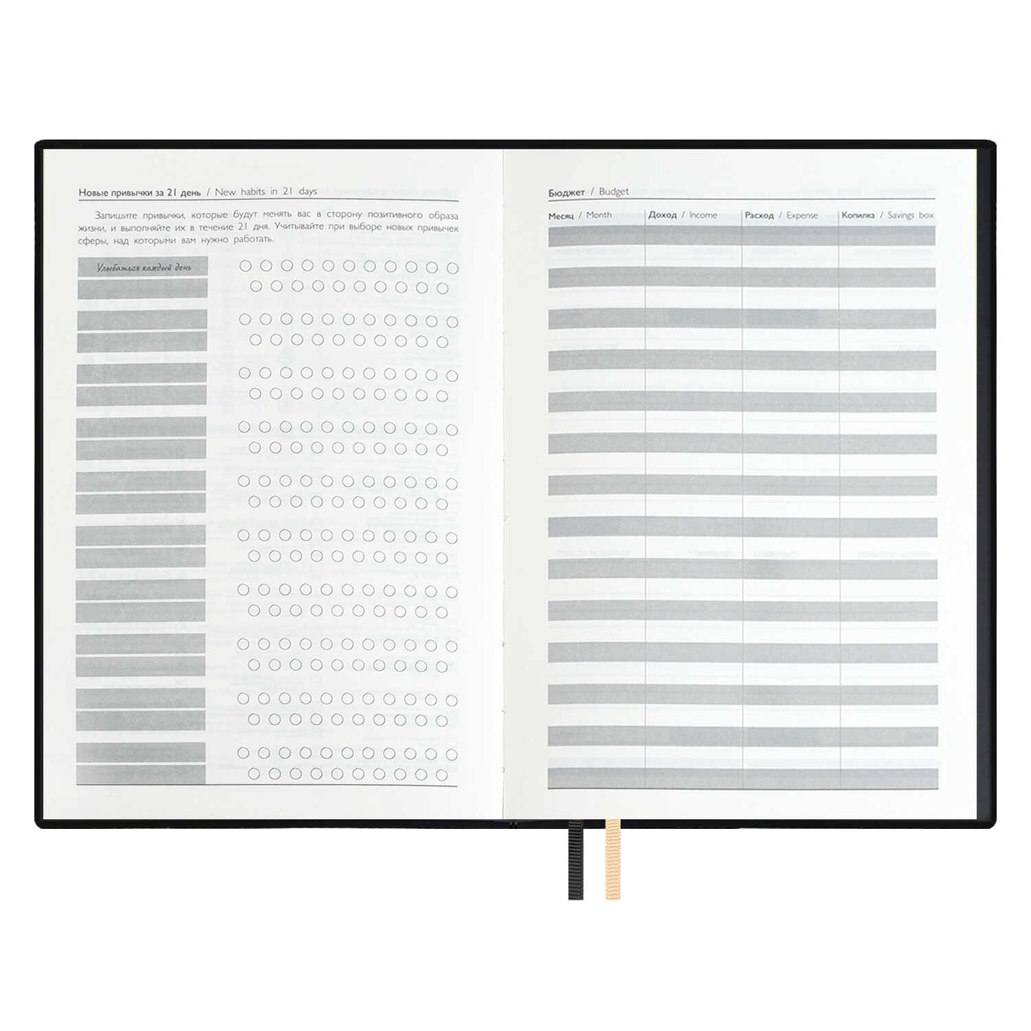 Ежедневник Феникс + ESCALADA 120 лист. - фото 22