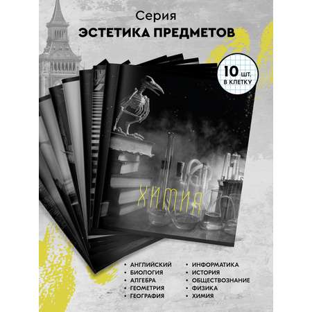 Тетрадь SCHOOLFORMAT 48 лист. 12 шт.