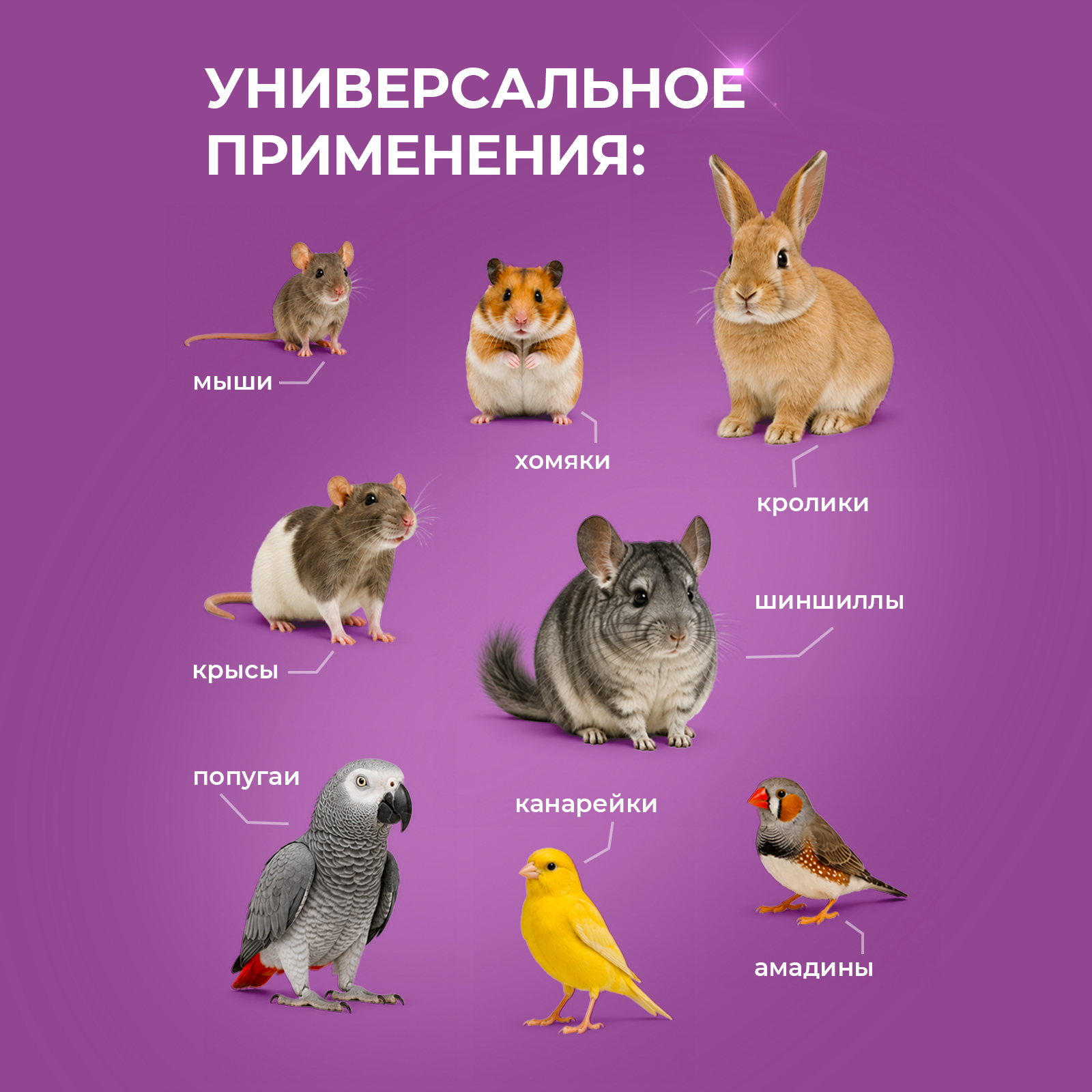 Дезинфектор Ou!borka для грызунов птиц и крыс 400 г - фото 4
