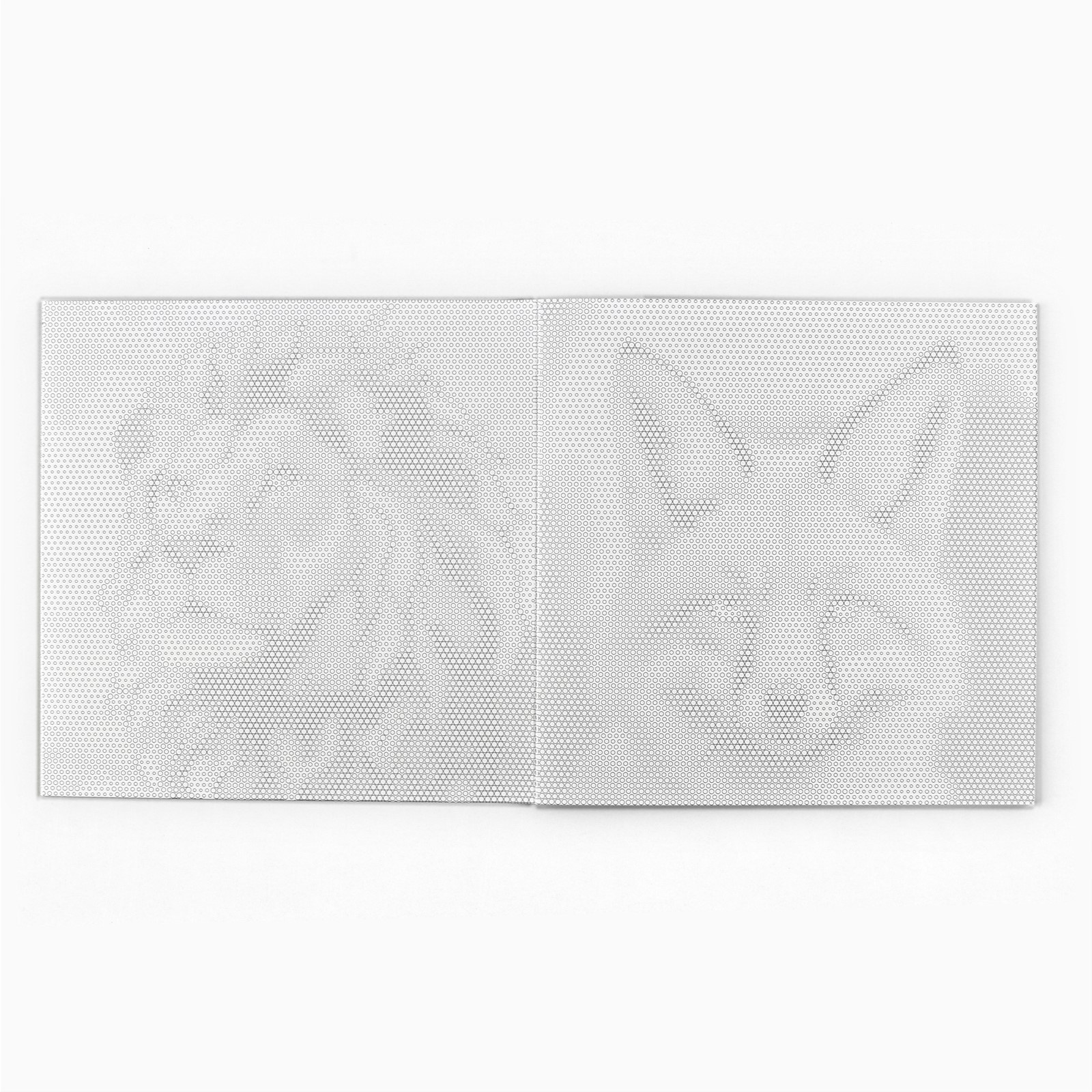 Раскраска Школа Талантов по точкам Любимые животные 20 стр - фото 5