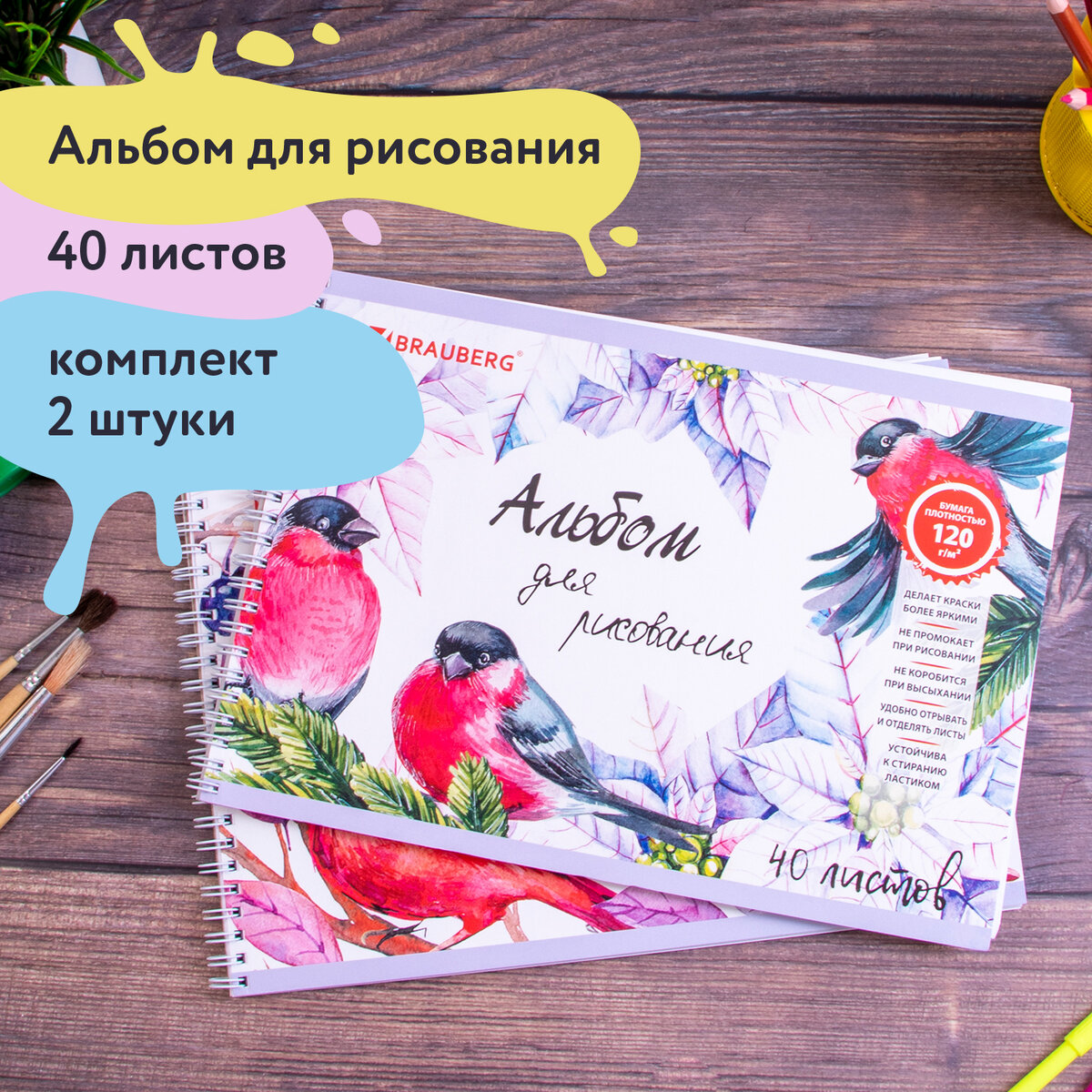 Альбом Brauberg А4 40 лист. 2 шт. - фото 1