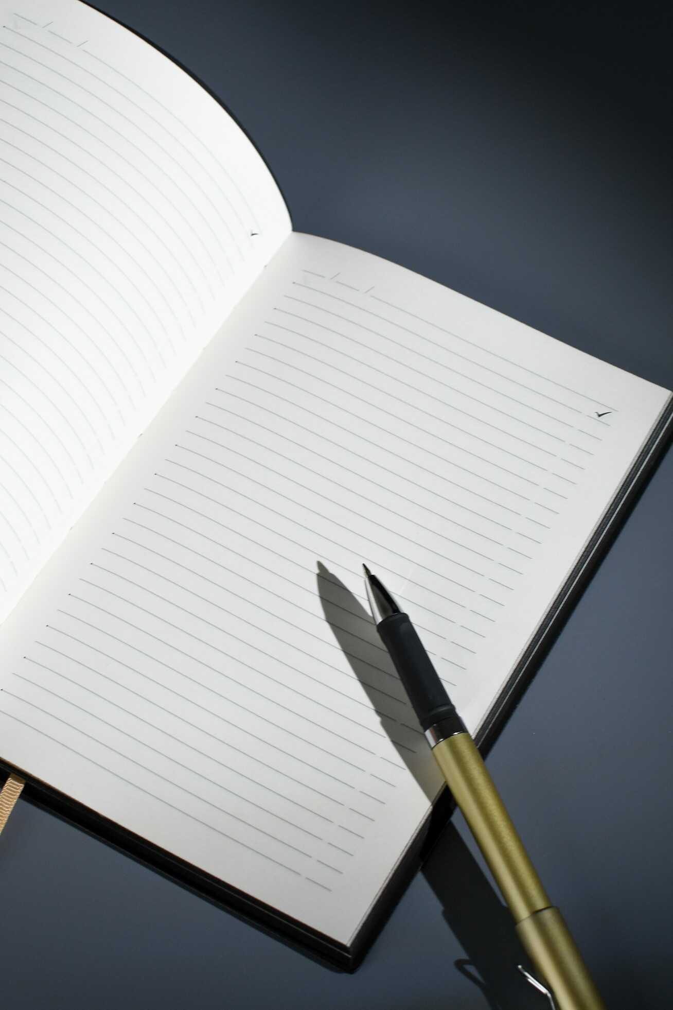 Ежедневник Феникс + ESCALADA 120 лист. - фото 12