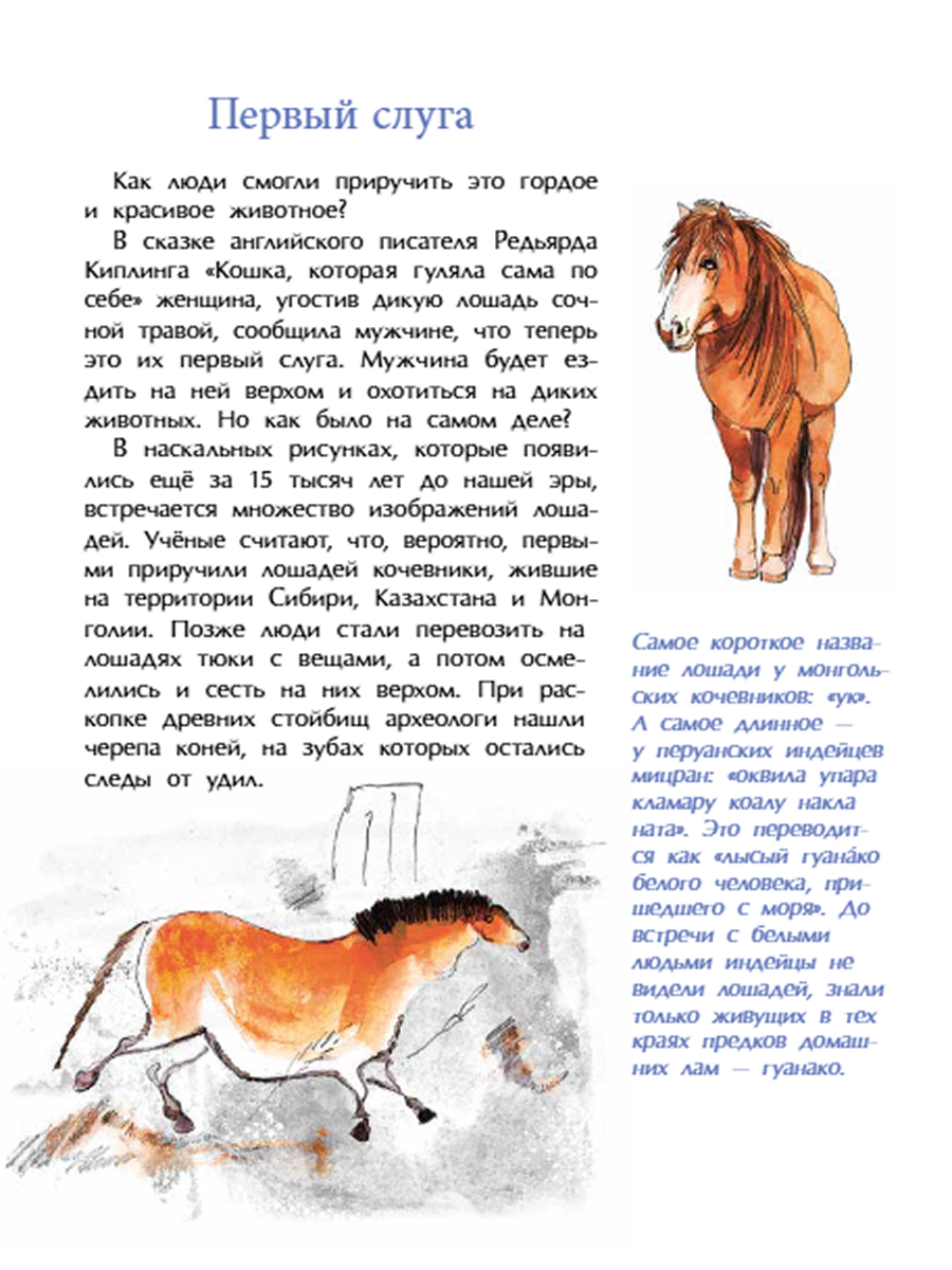 Книги для детей Настя и Никита развитие детей - фото 4