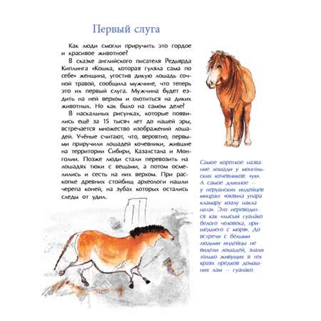 Книги для детей Настя и Никита развитие детей