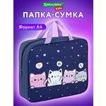 Папка для труда Brauberg А4